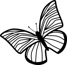 Butterfly Of Thin Striped Wings Rotated To Left Editable Svg Line Art, Free Vectors File